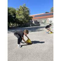 sport