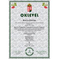 Nagy Dávid
