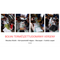 bolyai.tt.06