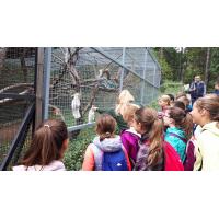 ZOO program