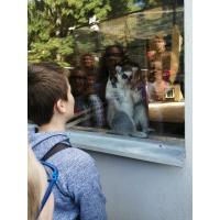 ZOO program