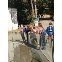 ZOO program