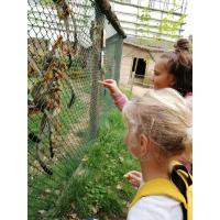 ZOO program