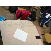 pálya