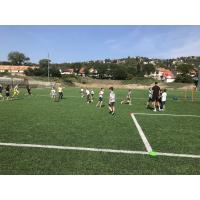 sport