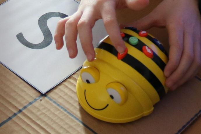BeeBot sikerek