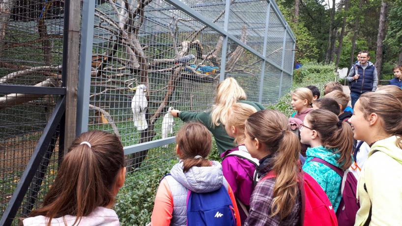 ZOO program